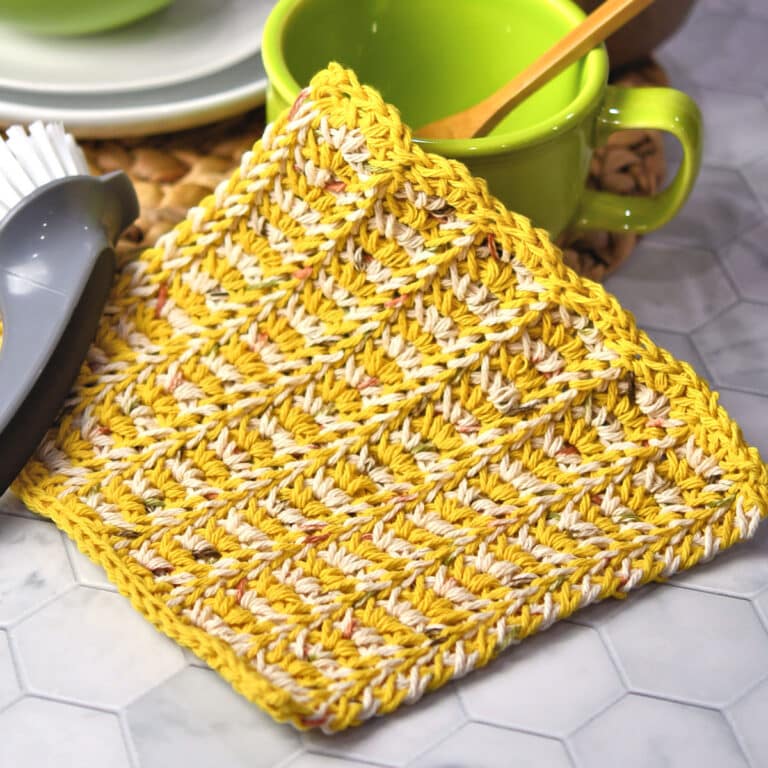 Nautilus Dishcloth Free Tunisian Crochet Pattern
