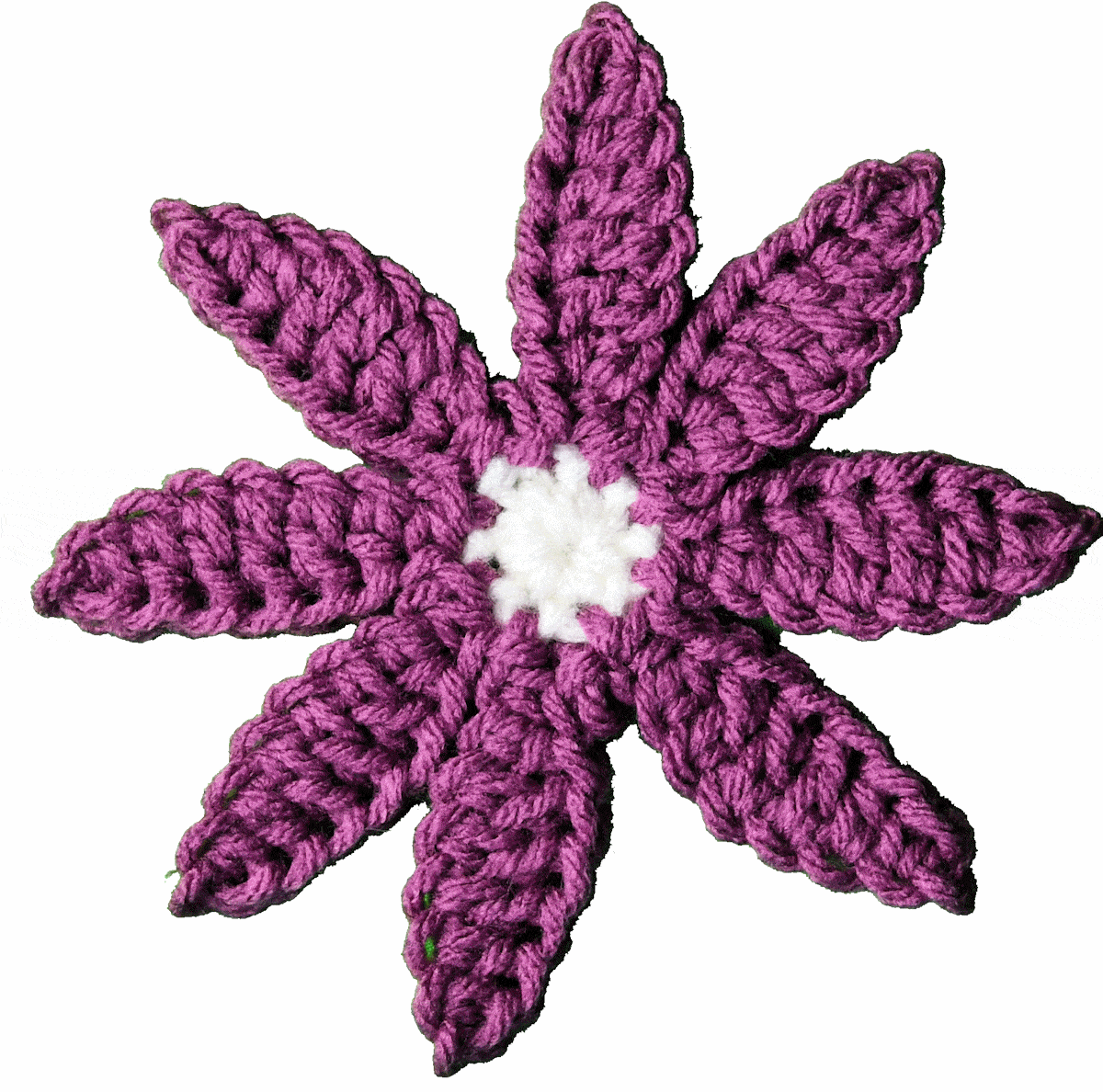 closeup of blueberry pie square after round 2